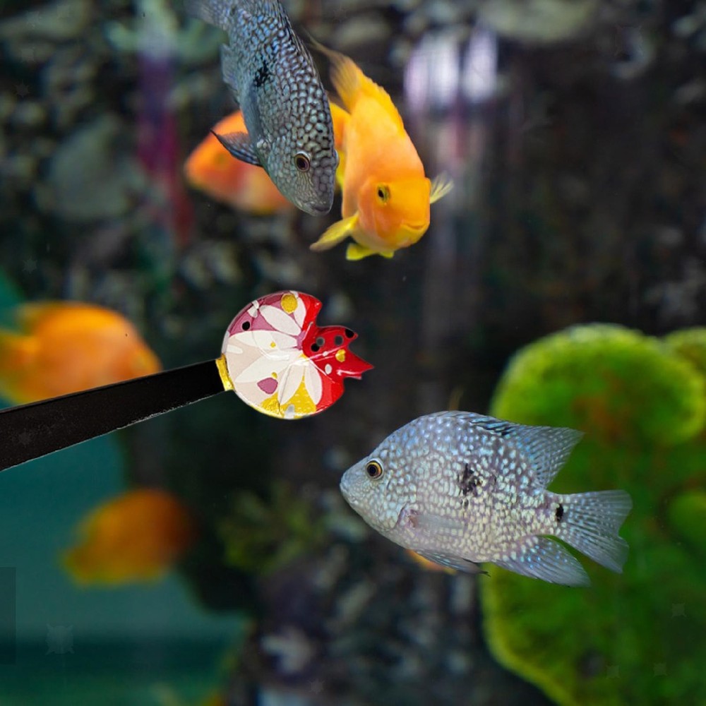 Vibrant Betta Fish Training Set