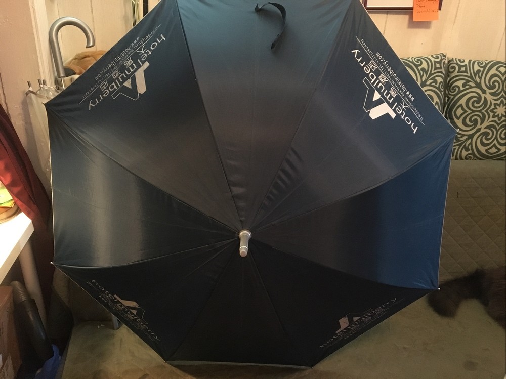 Automatic open U shape handle Classic nayv color umbrella