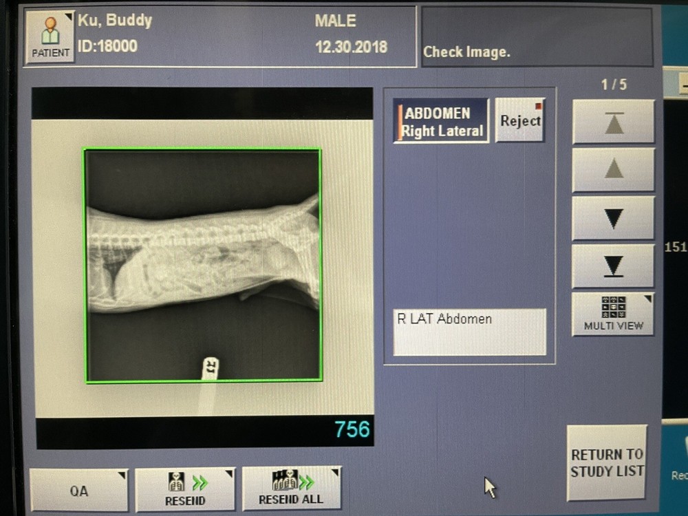 Canon CDXI-50G Portable DR Panel w/Vet Software (Tested)