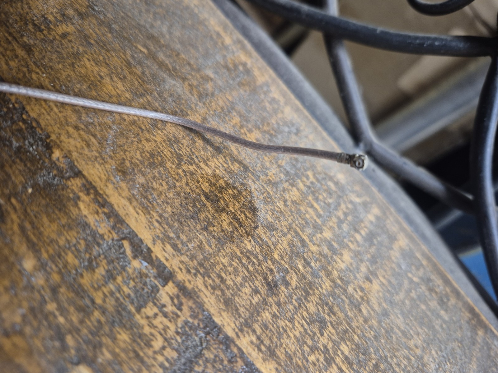 Zodiac Jandy IQ900/IQ20/IQ30 iAqualink Replacement ANTENNA ONLY For Repair (C30)