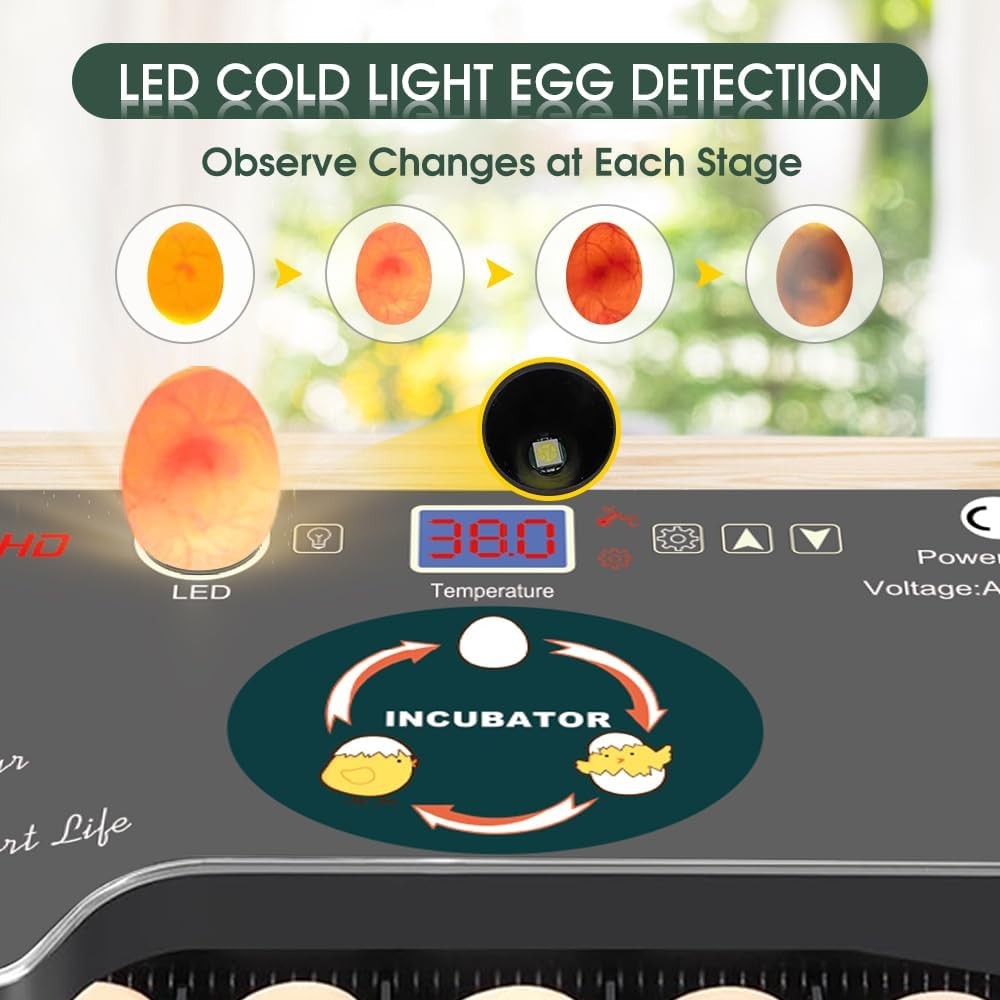 12 Egg Incubator - Automatic Egg Turner, Temperature Control, Built-in Candle...