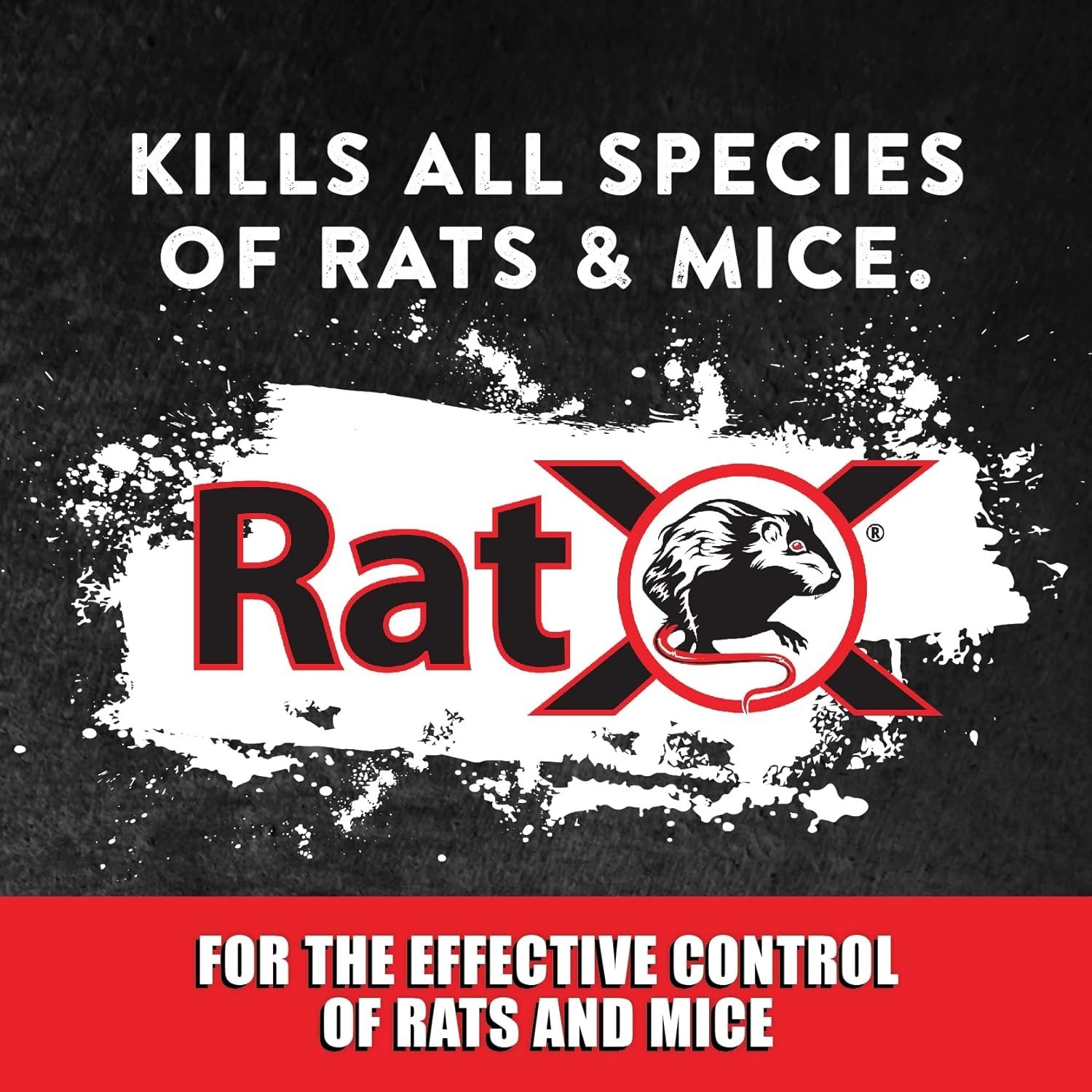 EcoClear Products 620100-6D RatX All-Natural NonToxic Humane Rat and Mice Rodent