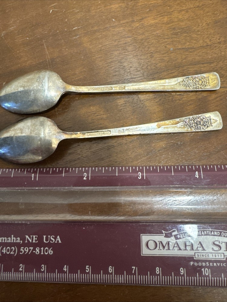 Antique 1847 Rogers Bros ADORATION Silverplate Salt Spoon