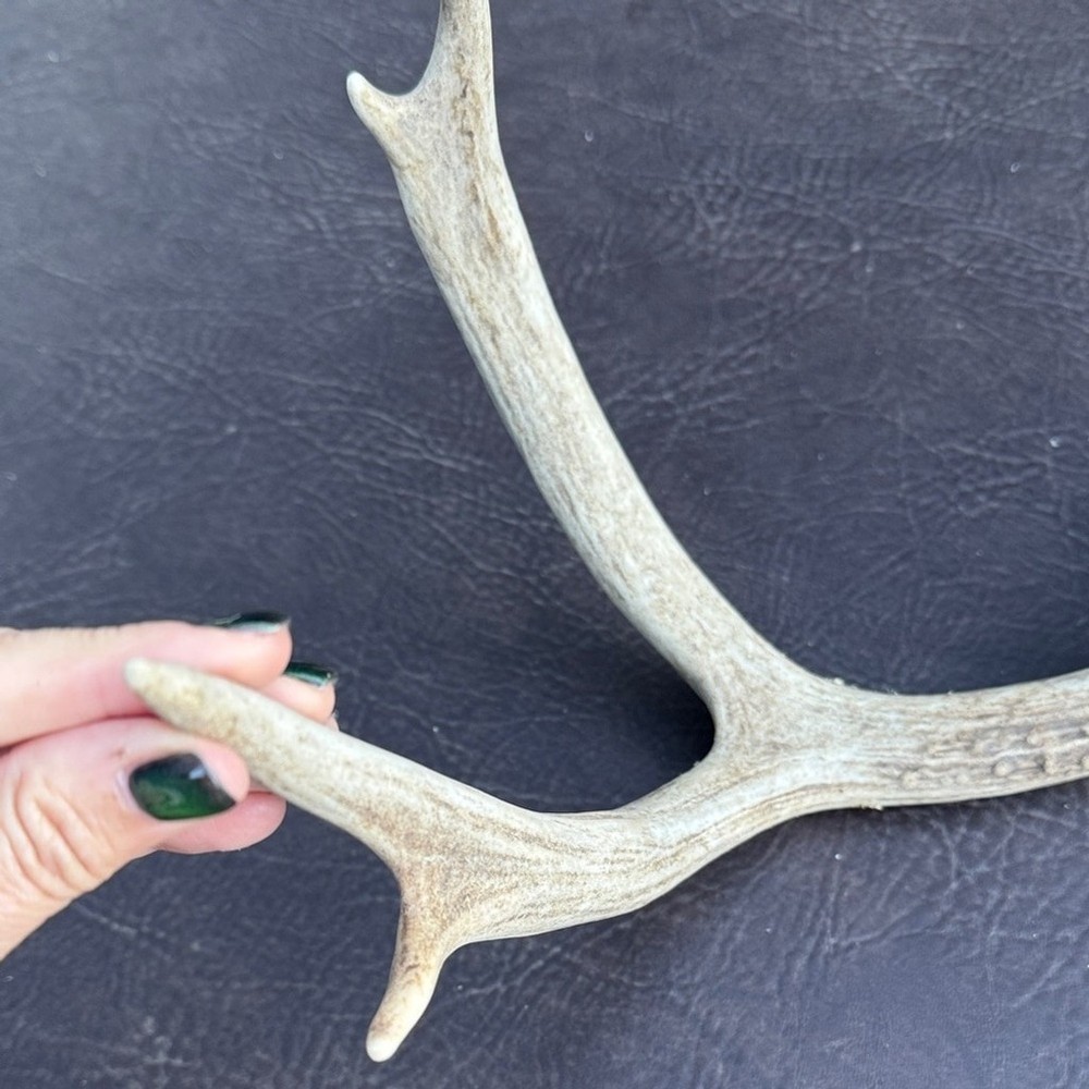 Rustic Brown Antler Wall Decor