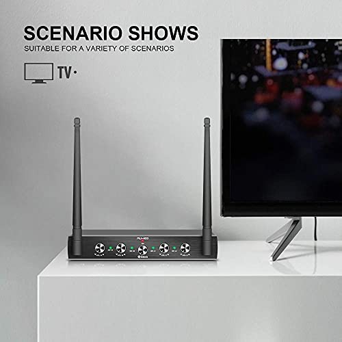 Debra Audio Pro UHF 4 Channel Wireless Microphone System with 4 Handheld (A)