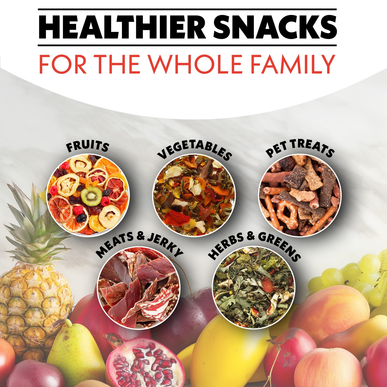 Gourmia 6 Tray Digital Food Dehydrator, Stainless Steel, Timer, Glass Door