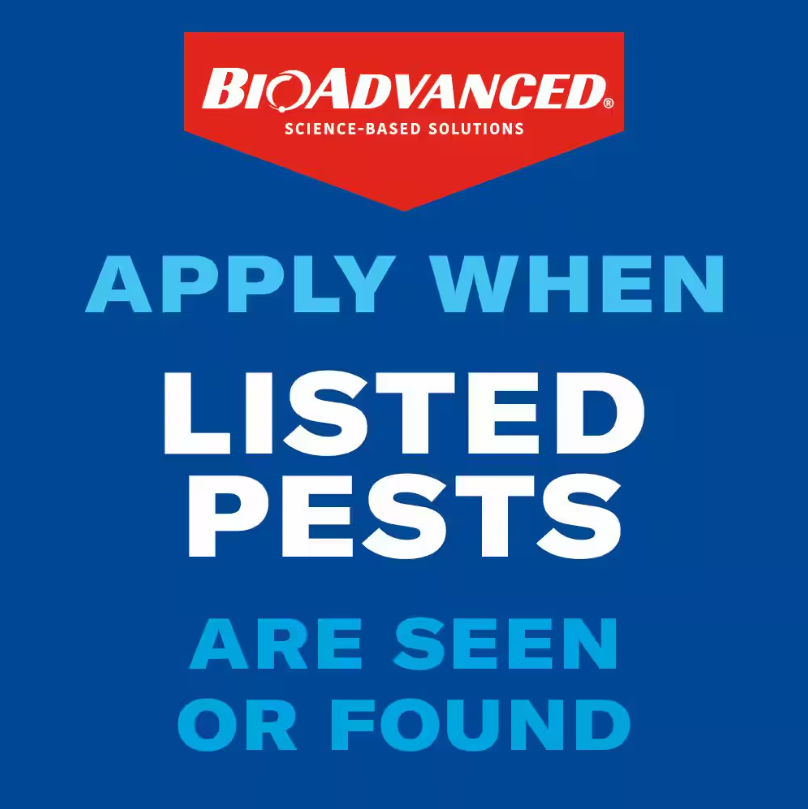 BIOADVANCED Carpenter Ant & Termite Killer Plus Concentrate 40oz. Makes 480 Gal.