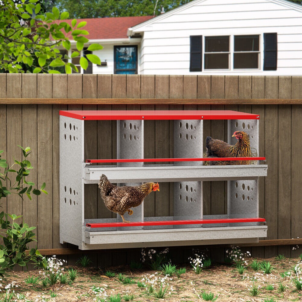 New 6Hole Chicken Nesting Boxes Metal Egg Laying Brooding Box With Vent Hole Set