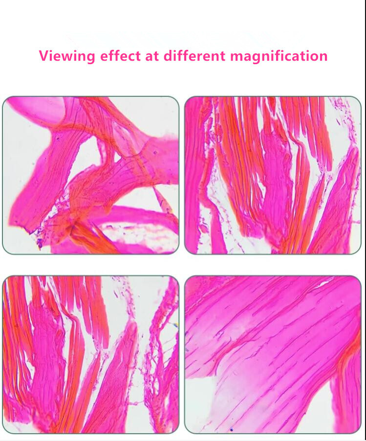 Infinity Long Working Distance Metallographic Microscope Objective Len 2.5-100X