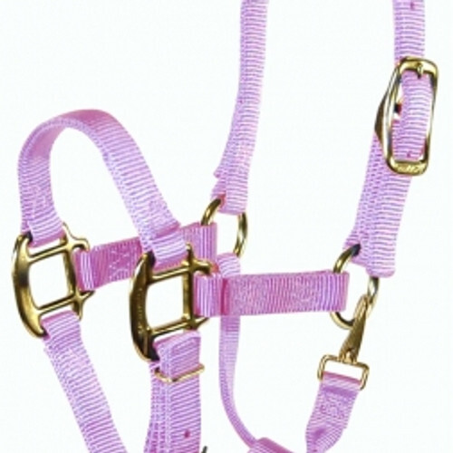 Hamilton Quality 3/4" Nylon Adjustable Halter With Snap