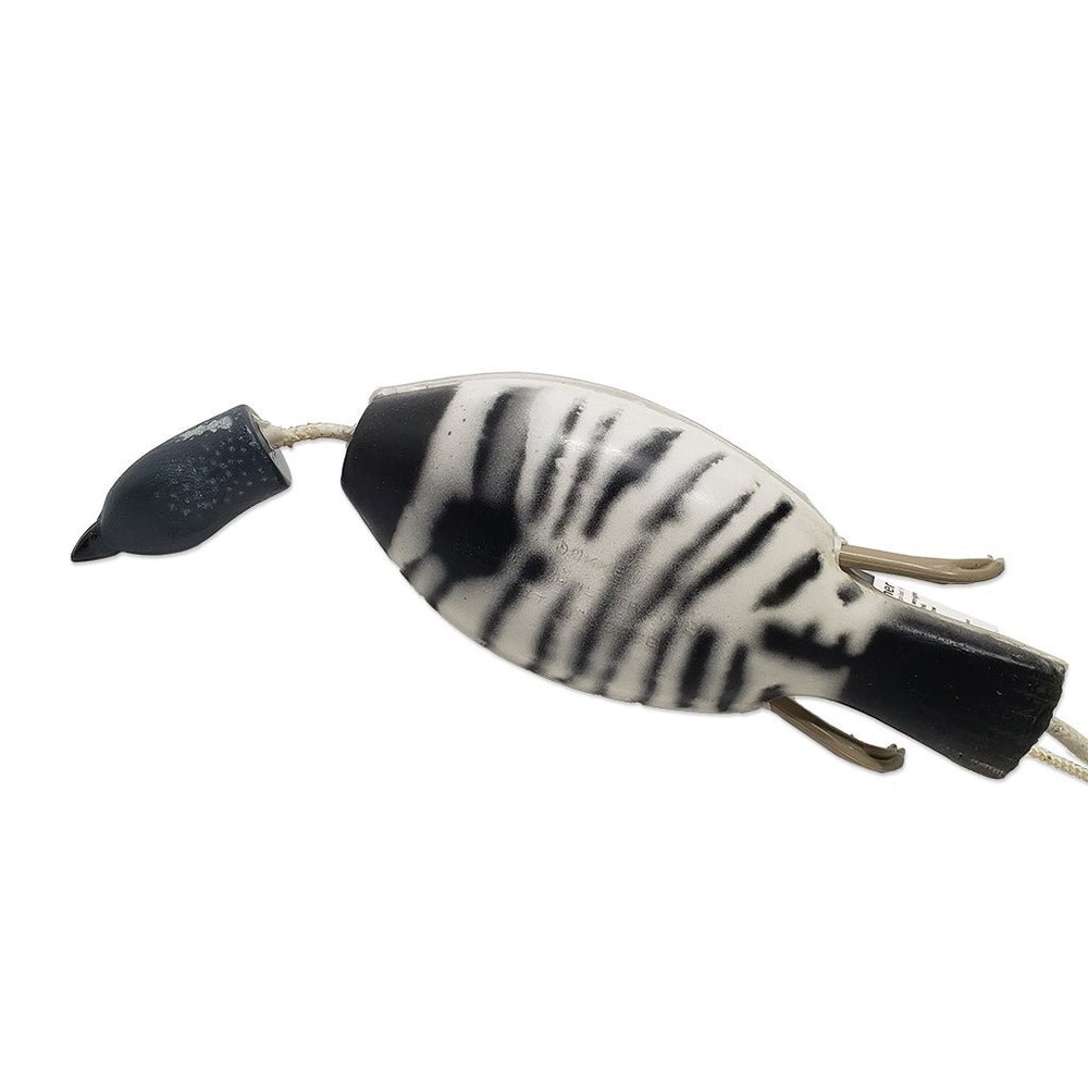 Dead Fowl Spruce Grouse