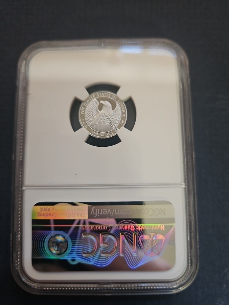 2007 W 1/10 oz Platinum EAGLE P$10 NGC MS69