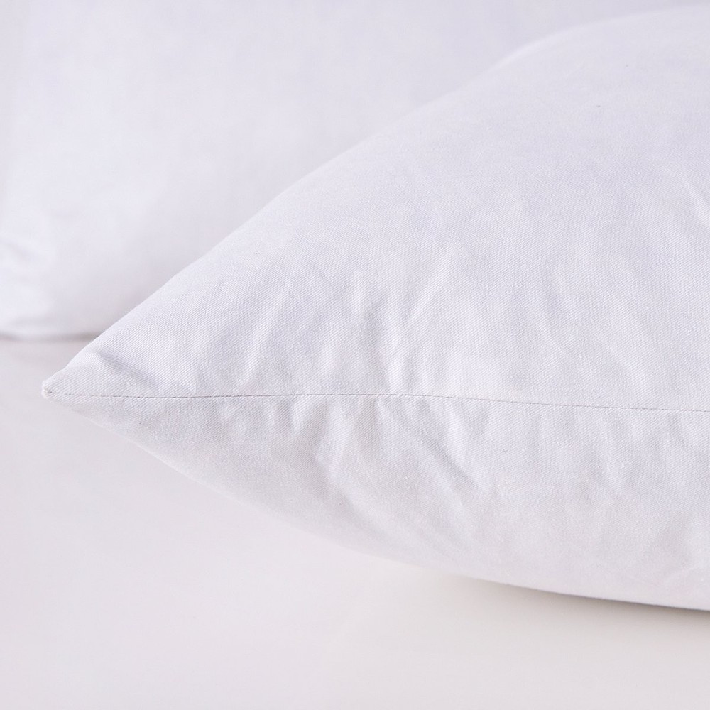 HOMESJUN Throw Couch Pillows Inserts, Set of 2 Down Feather Pillows Inserts B...
