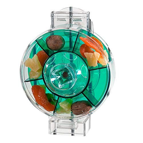 Extra Large Interactive Bird Feeder - Creative Foraging Wheel for Large Birds -