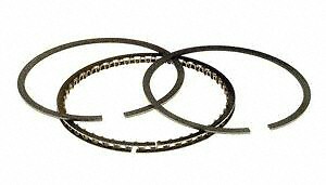 Piston Ring Set Hastings Manufacturing 4726