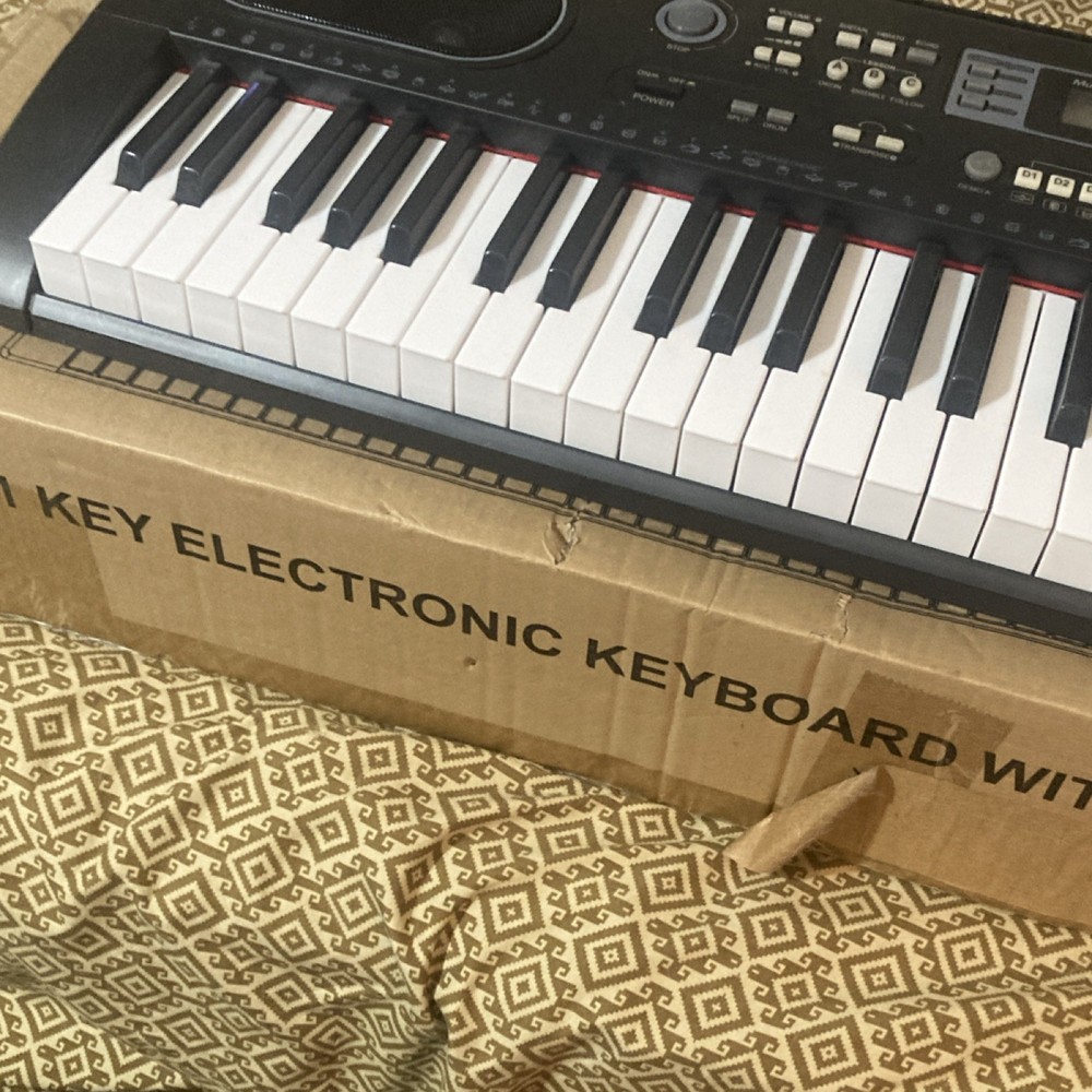 Plixio CE1985 61-Key Electronic Keyboard USB Input LED Screen MP3 200 Rhythms