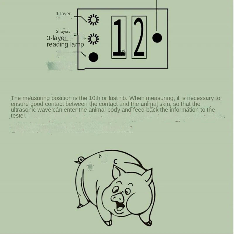 Pig Back Fat Detection Equipment Farm Animals Criterion Precise Detector